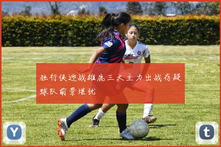 独行侠迎战雄鹿三大主力出战存疑球队前景堪忧