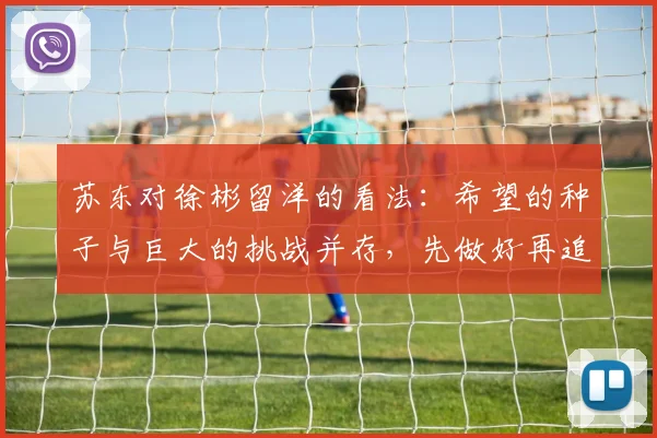 苏东对徐彬留洋的看法：希望的种子与巨大的挑战并存，先做好再追求完美